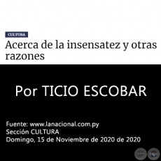 ACERCA DE LA INSENSATEZ Y OTRAS RAZONES - Por TICIO ESCOBAR - Domingo. 15 de Noviembre de 2020